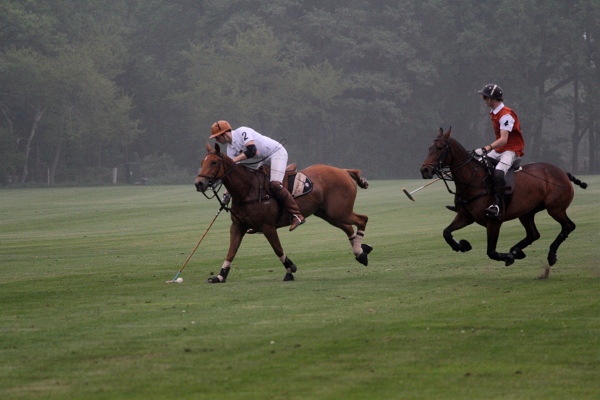 Polo_Art   127.jpg